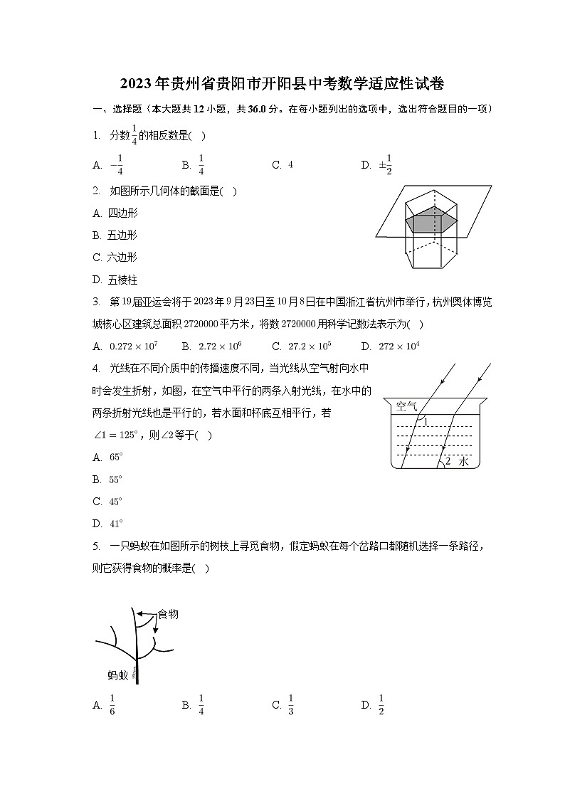 2023年贵州省贵阳市开阳县中考数学适应性试卷（含答案）01