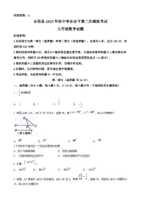 2023年陕西省渭南市合阳县中考二模数学试题（含答案）