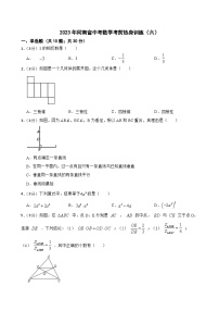 2023年河南省中考数学考前热身训练（六）