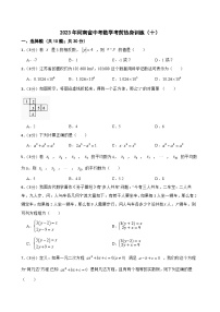 2023年河南省中考数学考前热身训练（十）