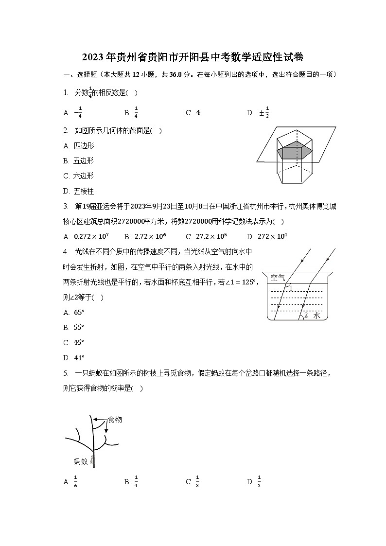 2023年贵州省贵阳市开阳县中考数学适应性试卷-普通用卷01