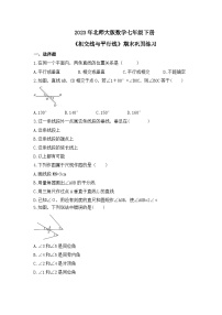 2023年北师大版数学七年级下册《相交线与平行线》期末巩固练习（含答案）