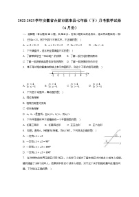 2022-2023学年安徽省合肥市肥东县七年级（下）月考数学试卷（6月份）（含解析）