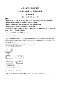 2023年安徽省合肥市蜀山区合肥市琥珀中学中考三模数学试题（含答案）