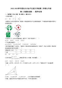 2023年广东省汕头市金平区蓝天学校中考三模数学试题（含答案）