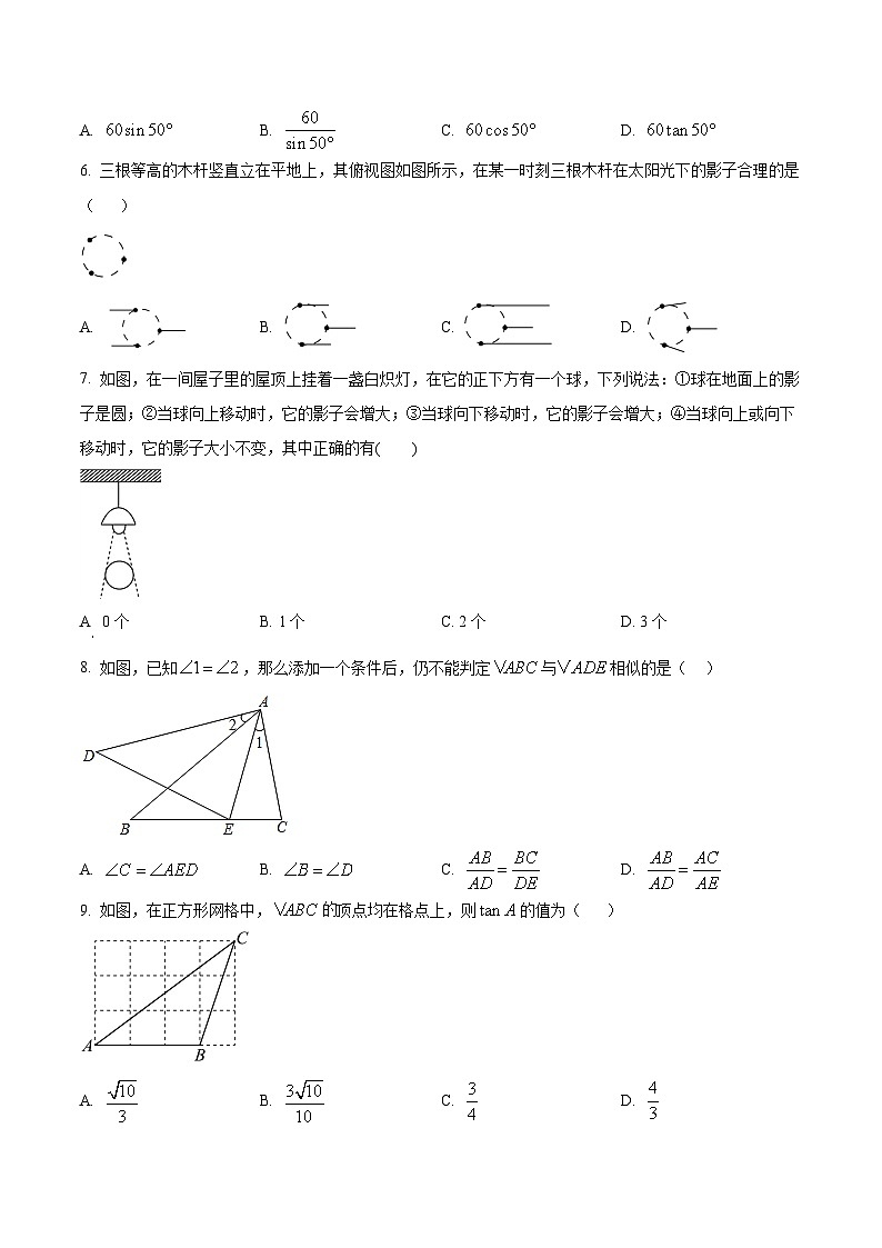 辽宁省抚顺市东洲区2023届九年级中考模拟检测（二）数学试卷(含解析)02