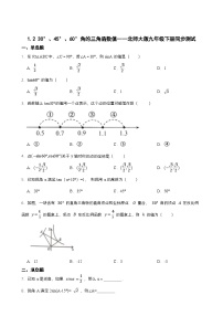 初中数学北师大版九年级下册2 30°、45°、60°角的三角函数值随堂练习题
