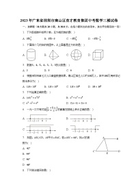 2023年广东省深圳市南山区育才教育集团中考数学三模试卷（含解析）