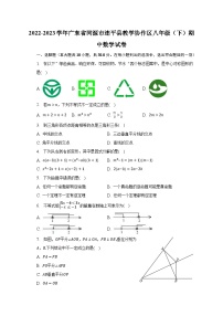 2022-2023学年广东省河源市连平县教学协作区八年级（下）期中数学试卷（含解析）