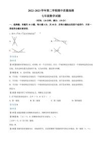 福建省龙岩市新罗区2022-2023学年七年级下学期期中考试数学试卷解析版