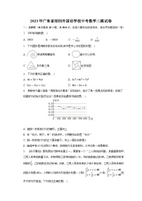 2023年广东省深圳外国语学校中考数学三模试卷+