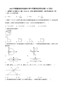 2023年福建省泉州实验中学中考模拟数学试题（6月份）