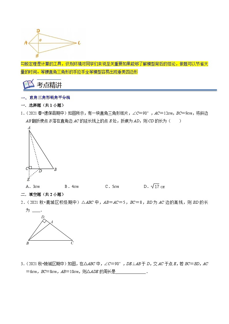 专题06勾股定理七大模型-2022-2023学年八年级数学下学期期末考点大串讲（北师大版）03