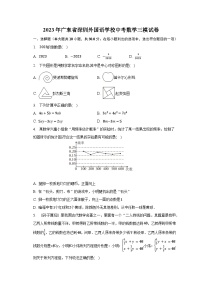 2023年广东省深圳外国语学校中考数学三模试卷（含解析）