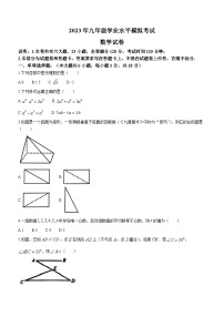 2023年江西省萍乡市中考二模数学试题（含答案）