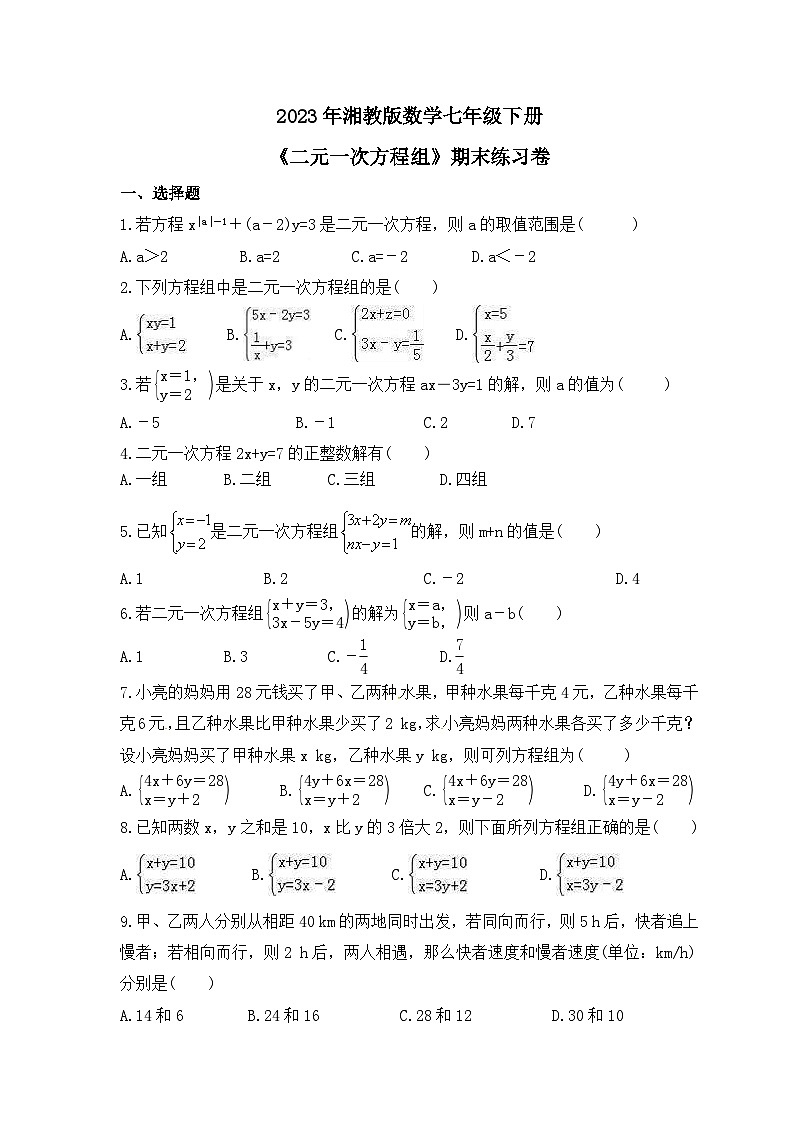 2023年湘教版数学七年级下册《二元一次方程组》期末练习卷（含答案）第1页