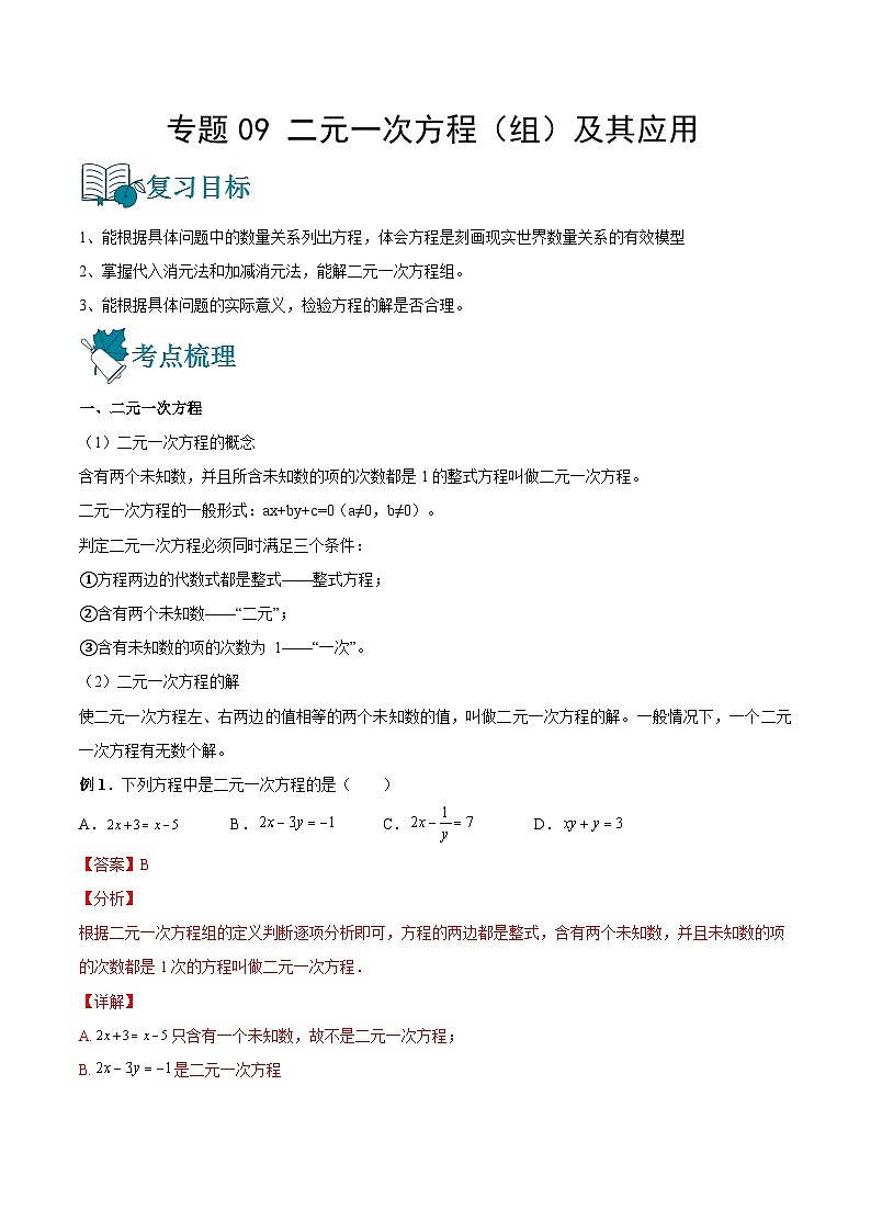 专题09 二元一次方程（组）及其应用（讲通）-【讲通练透】中考数学一轮（全国通用）（教师版）01