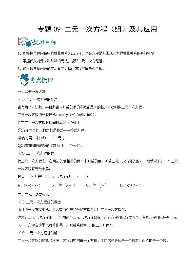 专题09 二元一次方程（组）及其应用（讲通）-【讲通练透】中考数学一轮（全国通用）（学生版）第1页