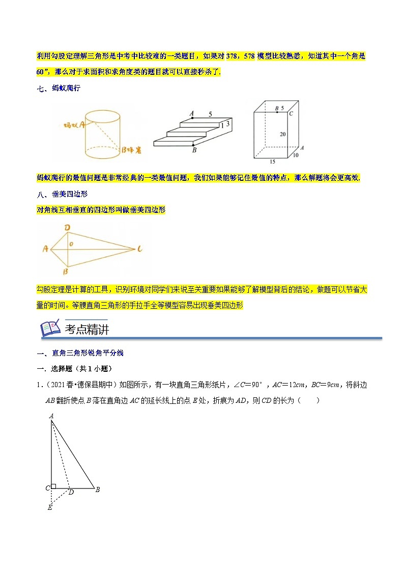专题03勾股定理八大模-2022-2023学年八年级数学下学期期末考点大串讲（人教版）03