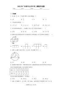 2023年广东省中山市中考二模数学试题