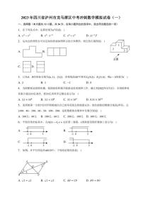 2023年四川省泸州市龙马潭区中考冲刺数学模拟试卷（一）