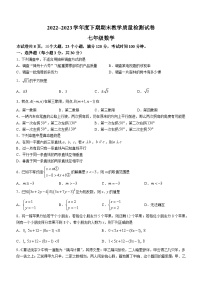 河南省漯河市郾城区2022-2023学年七年级下学期期末数学试题（含答案）