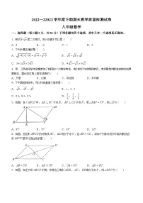 河南省漯河市郾城区2022-2023学年八年级下学期期末数学试题（含答案）