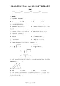 甘肃省武威市凉州区2021-2022学年七年级下学期期末数学试题