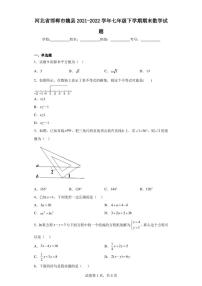 河北省邯郸市魏县2021-2022学年七年级下学期期末数学试题