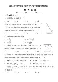 湖北省黄冈市浠水县麻桥中学2022-2023学年初中八年级下学期期末模拟考试数学试题