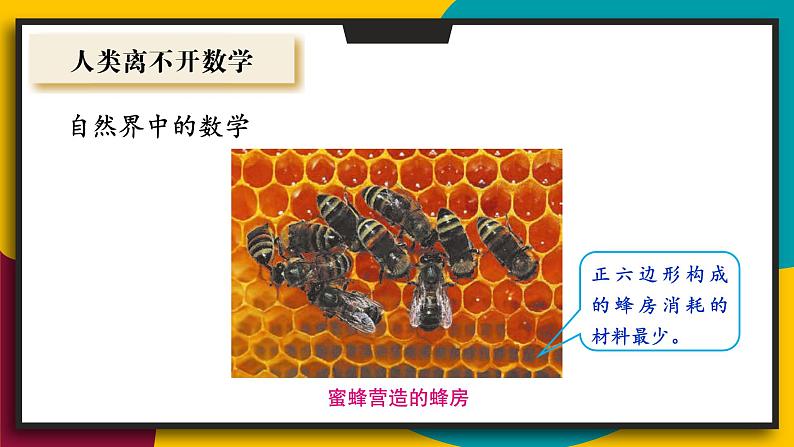 华7数上 第1章 1.1 走进数学世界 PPT课件+教案07