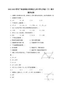 2022-2023学年广东省珠海市香洲区九州中学七年级（下）期中数学试卷（含解析）