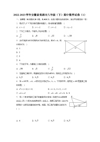 2022-2023学年安徽省芜湖市八年级（下）期中数学试卷（含解析）