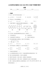 山东省青岛市城阳区2022-2023学年八年级下学期期中数学试题