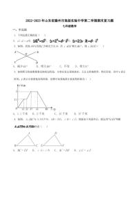 山东省滕州市高级实验中学2022-2023学年下学期七年级数学期末复习题