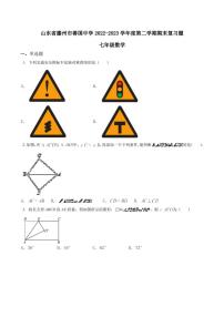 山东省滕州市善国中学2022-2023学年下学期七年级数学期末复习题
