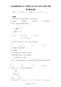 山东省威海市乳山市(五四制)2022-2023学年七年级下学期期中数学试题