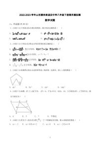 山东省枣庄市滕州市柴胡店镇柴胡店中学2022-2023学年八年级下册期末模拟题数学试题