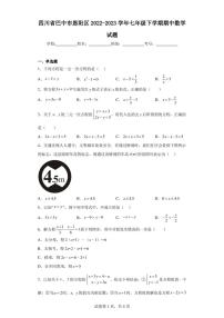 四川省巴中市恩阳区2022-2023学年七年级下学期期中数学试题