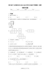 四川省广元市朝天区2022-2023学年九年级下学期第一次联考数学试题