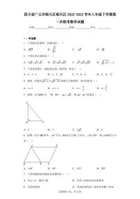 四川省广元市朝天区朝天区2022-2023学年八年级下学期第一次联考数学试题