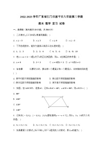 广东省江门市恩平市2022-2023学年八年级下学期期末数学+复习试卷（含答案）