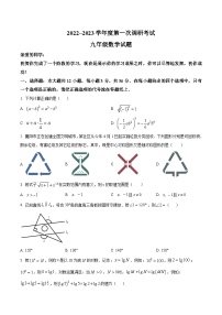 山东省枣庄市台儿庄区2023届九年级下学期一模考试数学试卷(含解析)