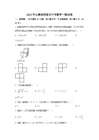 云南省昭通市2023届九年级下学期中考一模考试数学试卷(含解析)