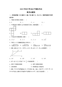 新疆喀什地区2023届九年级下学期中考二模数学试卷(含解析)