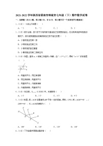 2021-2022学年陕西省渭南市韩城市七年级（下）期中数学试卷 (1)