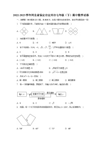 2022-2023学年河北省保定市定州市七年级（下）期中数学试卷(含解析）