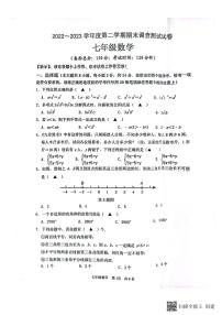 江苏省淮安市洪泽区2022-2023学年七年级下学期期末数学试题