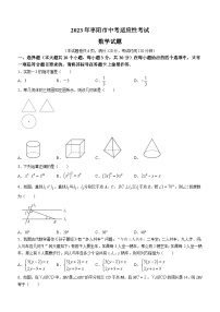 2023年湖北省襄阳市枣阳市中考一模数学试题(含答案)