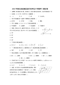 2023年湖北省省直辖县级行政单位中考数学二模试卷+